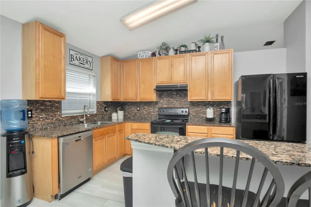 2239 ROANOKE SPRINGS DRIVE Ruskin, FL 33570