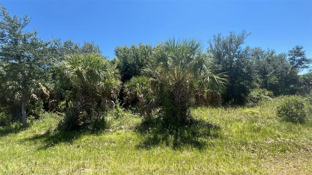 7270 RIVERTON CIRCLE Port Charlotte, FL 33981