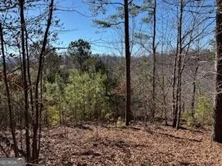 0 Mile High Ln Blairsville, GA 30512