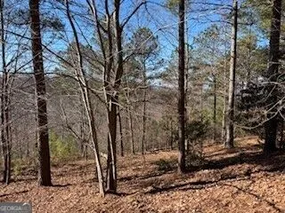 0 Mile High Ln Blairsville, GA 30512