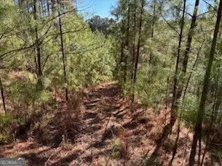 0 Mile High Ln Blairsville, GA 30512