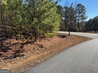 0 Mile High Ln Blairsville, GA 30512