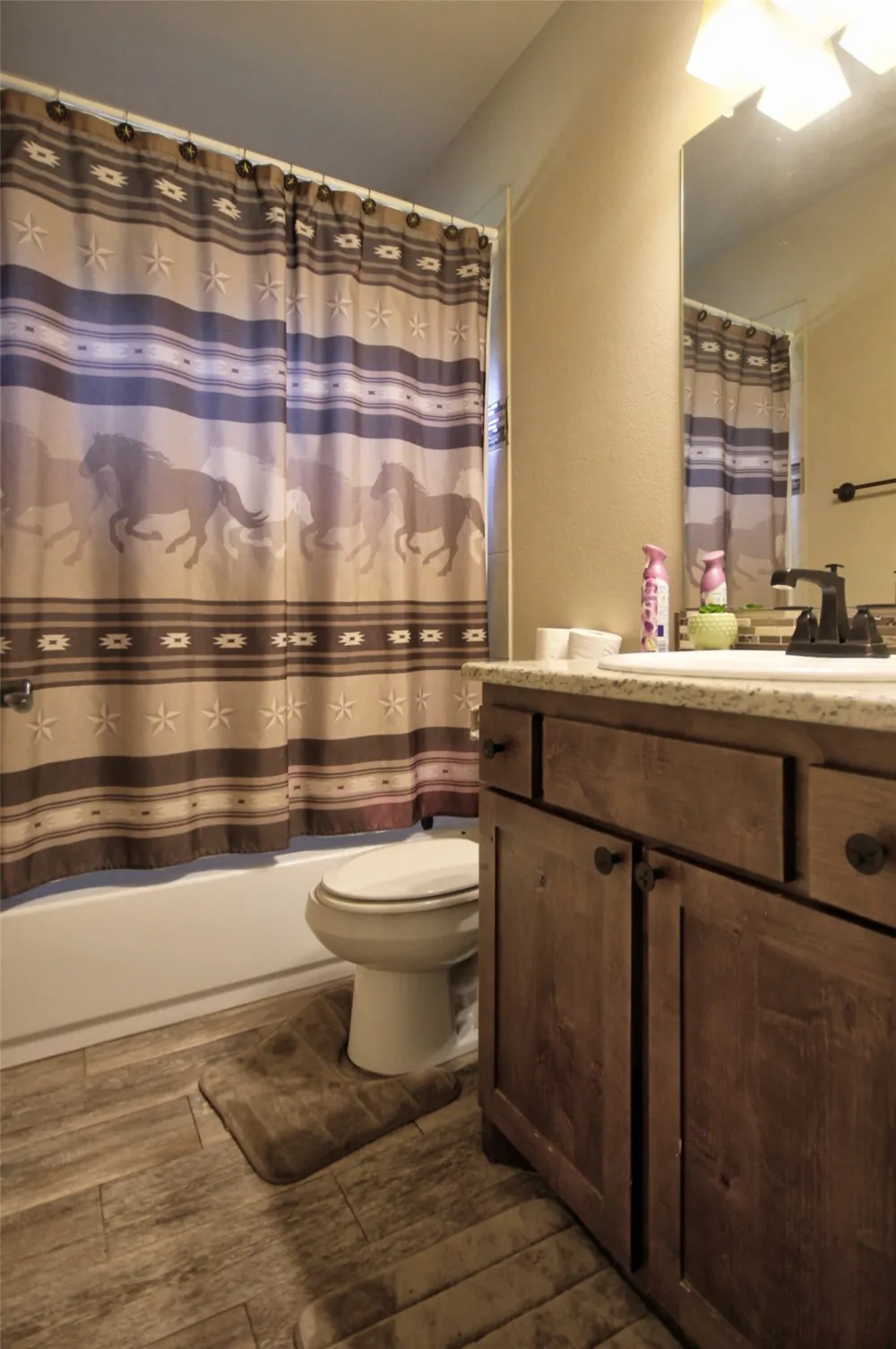 710 Panorama Drive Buchanan Dam, TX 78609