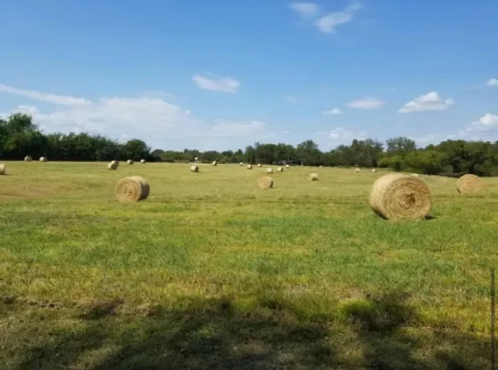 2882 Farm Road 3134 Cumby, TX 75433