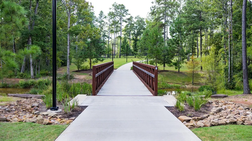 119 Bluebell Woods Way Willis, TX 77318