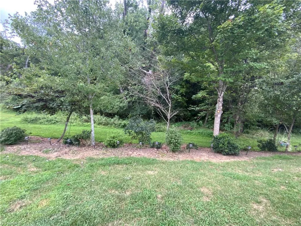 230 S Boyles Street Pilot Mountain, NC 27041