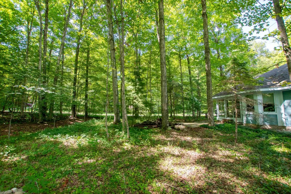 4804 S Green Court Centerville Township, MI 49621