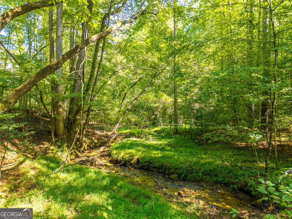 681 Catawba CIR Ellijay, GA 30540