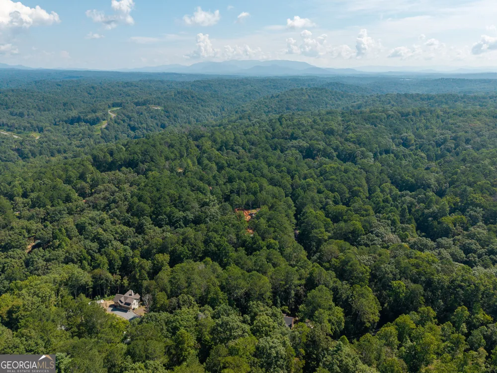 681 Catawba CIR Ellijay, GA 30540