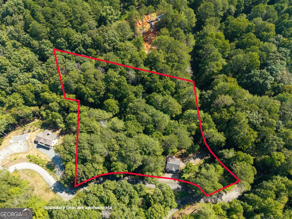 681 Catawba CIR Ellijay, GA 30540