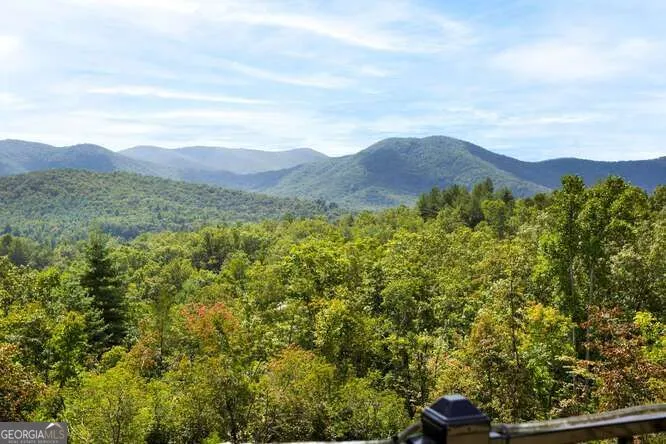 205 Hightower Ridge DR Hiawassee, GA 30546