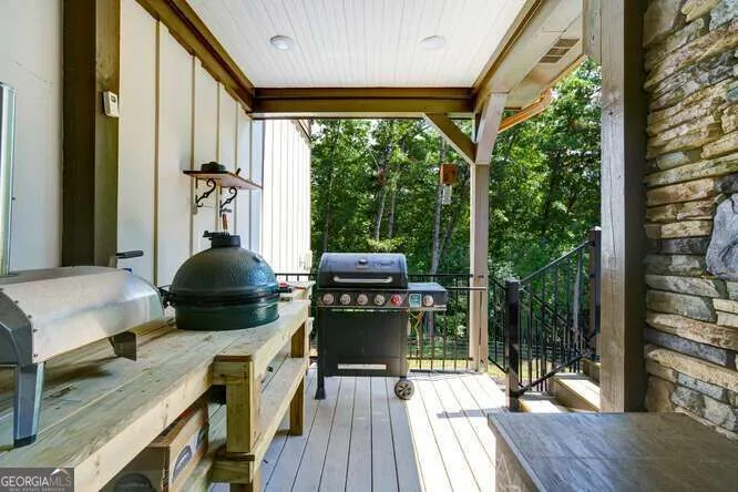 205 Hightower Ridge DR Hiawassee, GA 30546