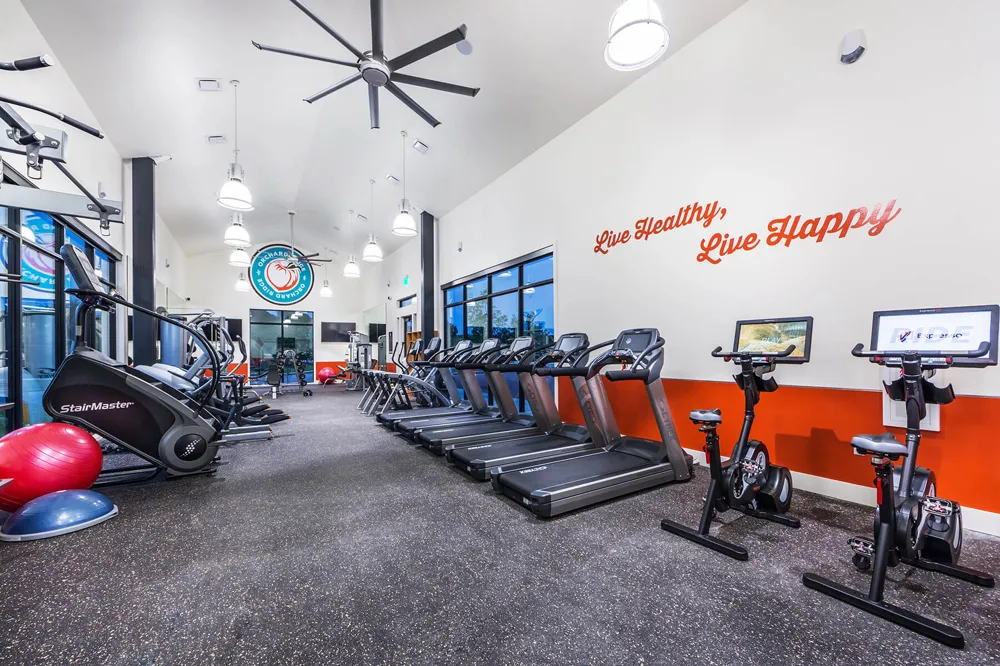 241 Majestic Cedar Court Liberty Hill, TX 78642