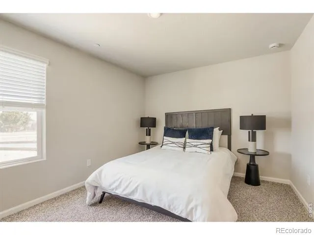 2416 Heyworth Lane Fort Collins, CO 80524