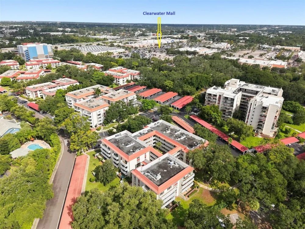 2650 PEARCE DRIVE #309 Clearwater, FL 33764
