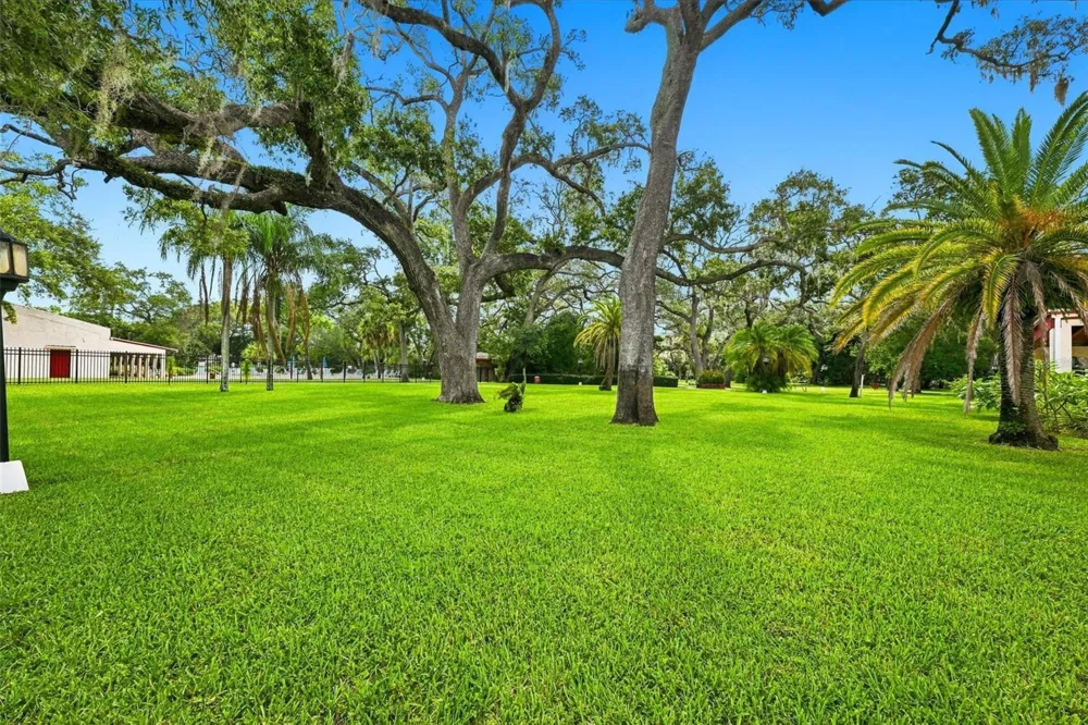 2650 PEARCE DRIVE #309 Clearwater, FL 33764