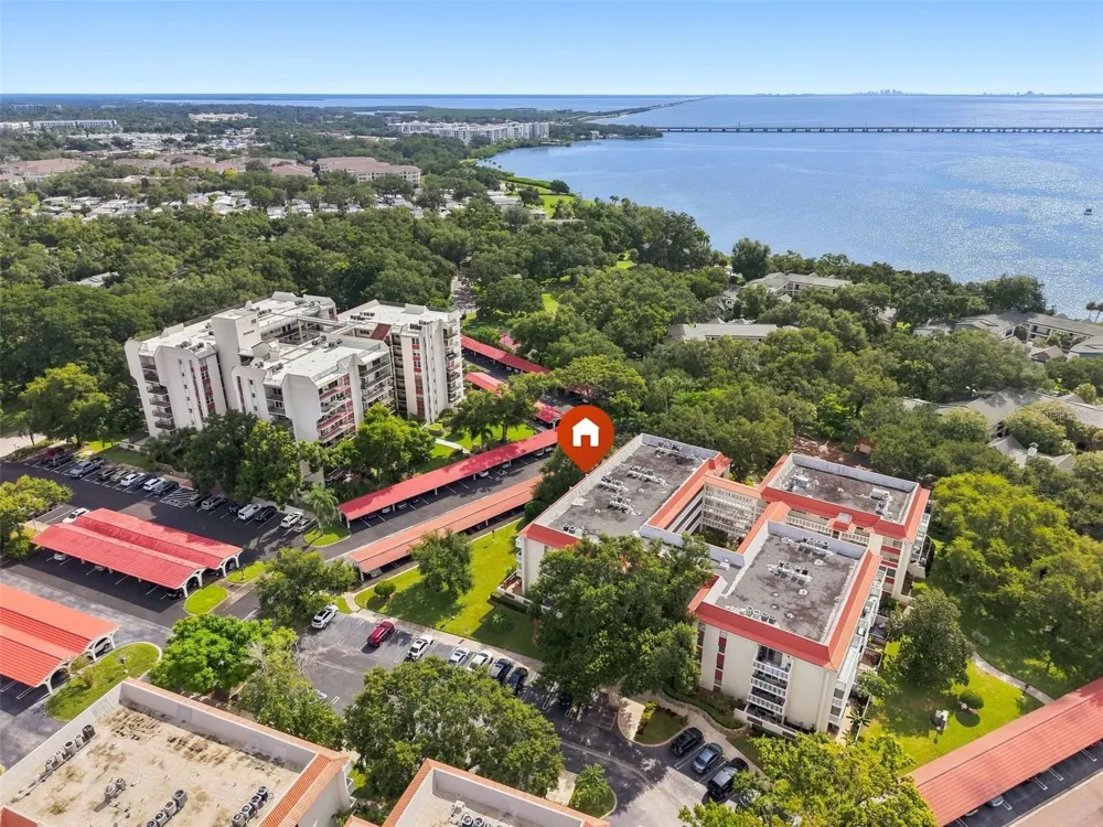 2650 PEARCE DRIVE #309 Clearwater, FL 33764