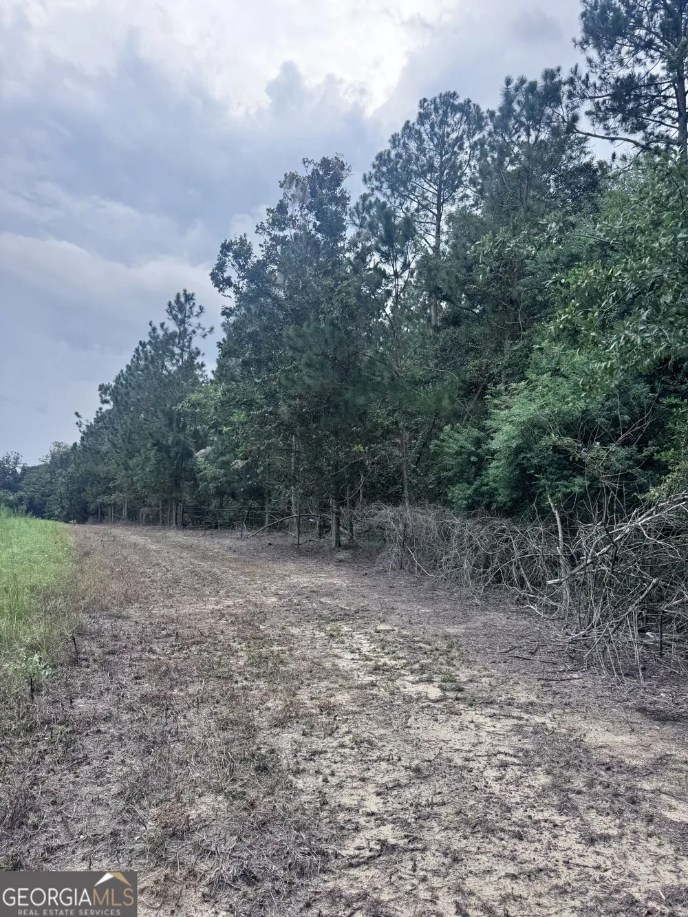 0 Cleon Shuman Road Collins, GA 30421