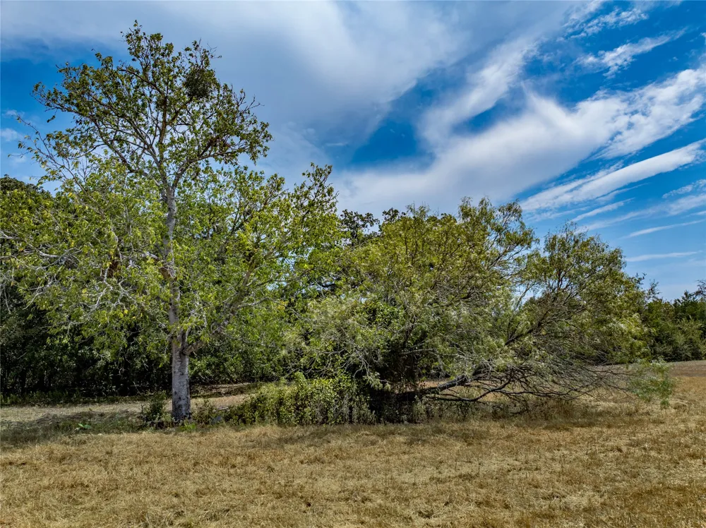 1046 Tx-71 West Point, TX 78963