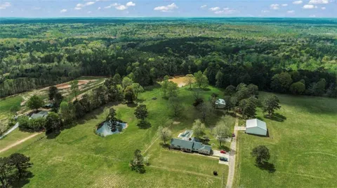 161 Minter Drive