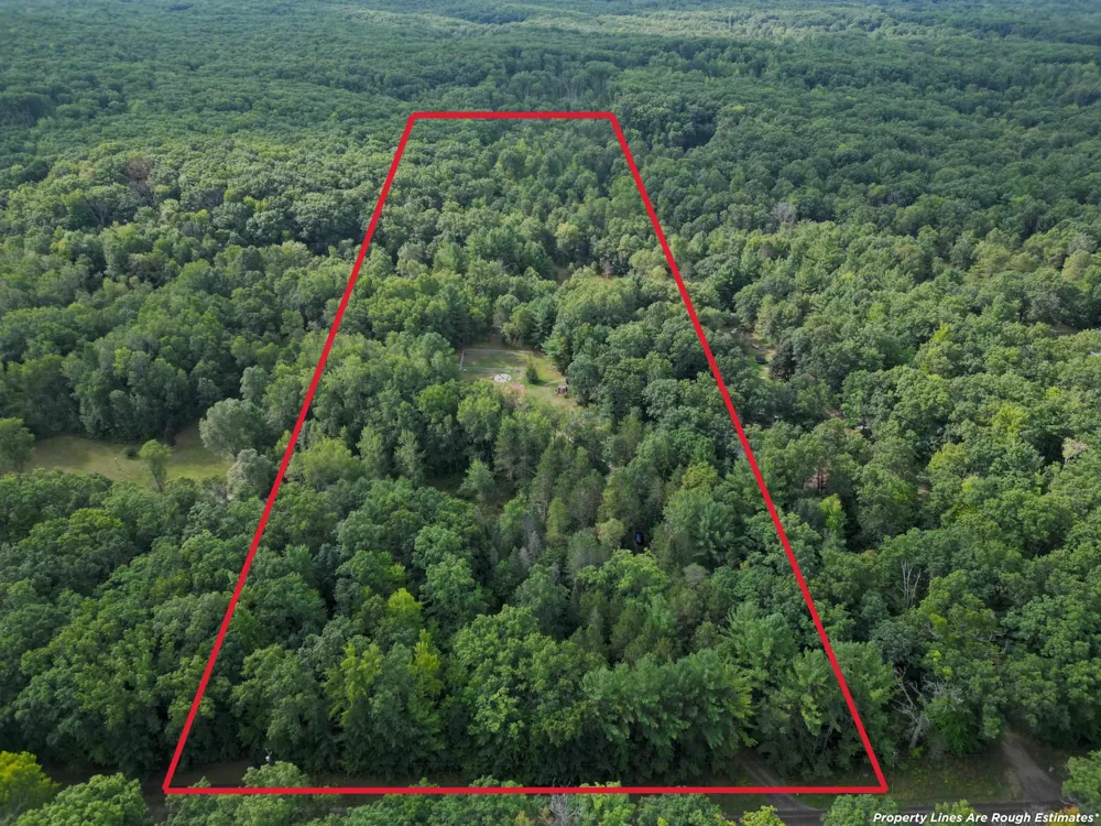 3511 W Monroe Road Lincoln Township, MI 48625
