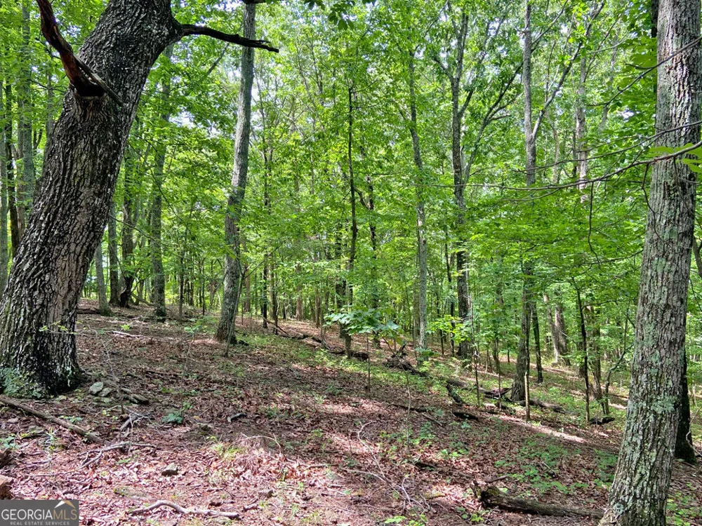 40.7AC Falling Pines Road Dahlonega, GA 30533