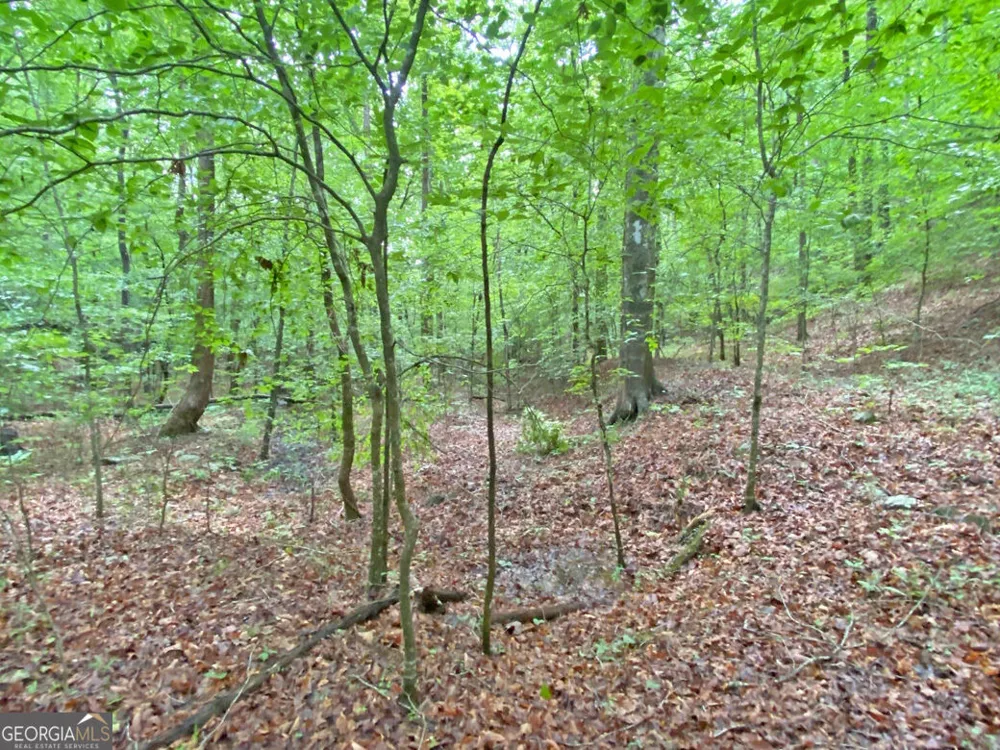 40.7AC Falling Pines Road Dahlonega, GA 30533