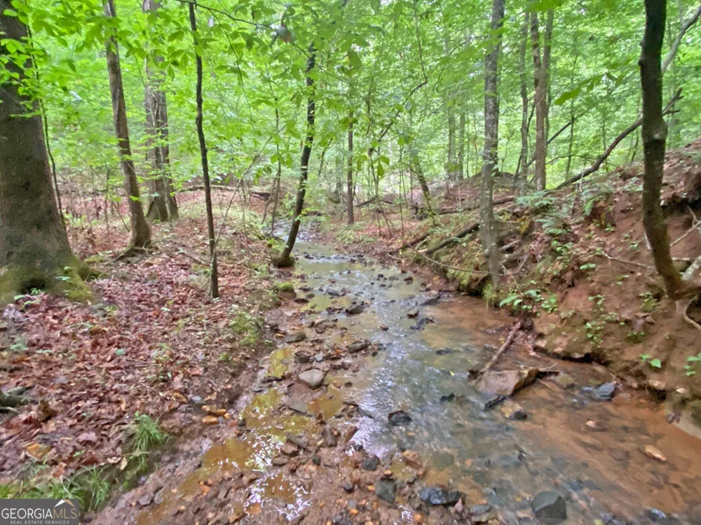 40.7AC Falling Pines Road Dahlonega, GA 30533