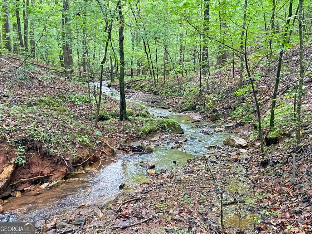 40.7AC Falling Pines Road Dahlonega, GA 30533