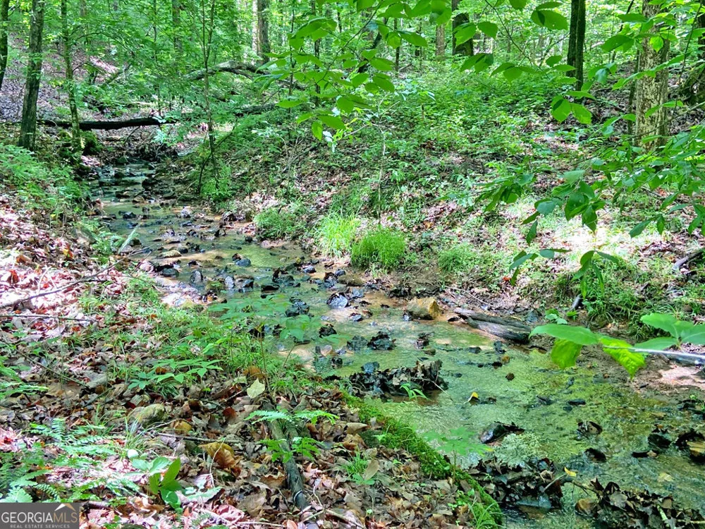 40.7AC Falling Pines Road Dahlonega, GA 30533