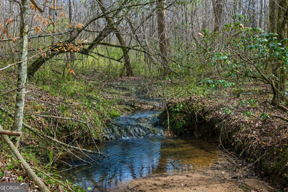 2300 Stonepile RD Clarkesville, GA 30523