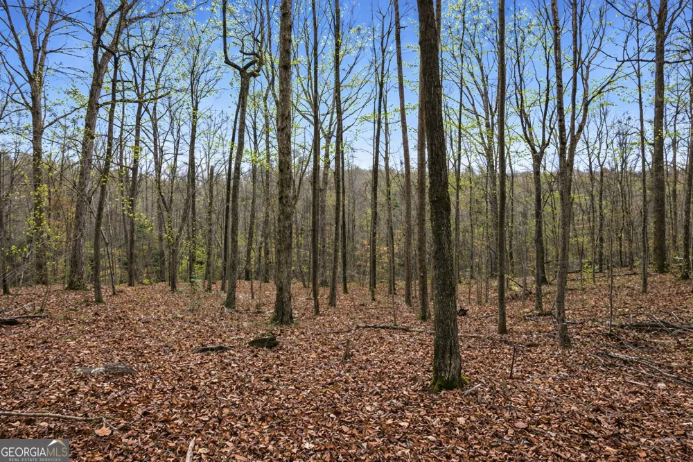 2300 Stonepile RD Clarkesville, GA 30523