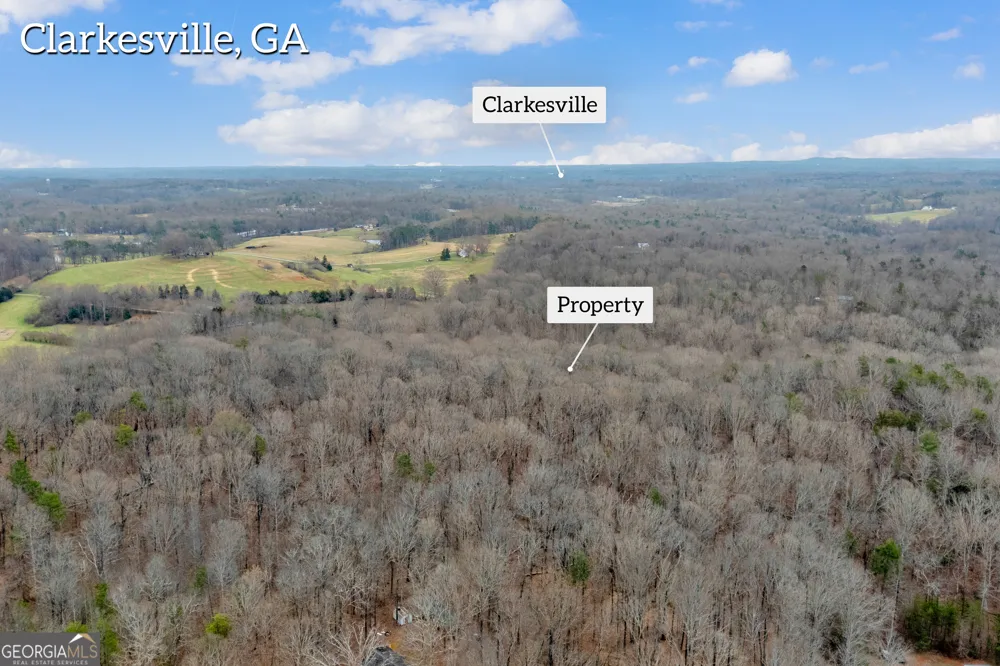 2300 Stonepile RD Clarkesville, GA 30523