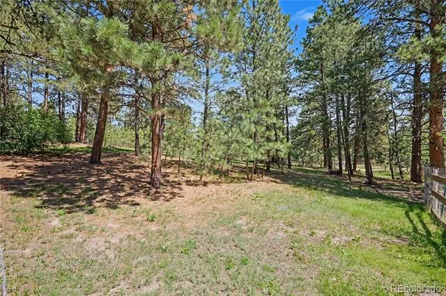 35787 Elkridge Run Elizabeth, CO 80107