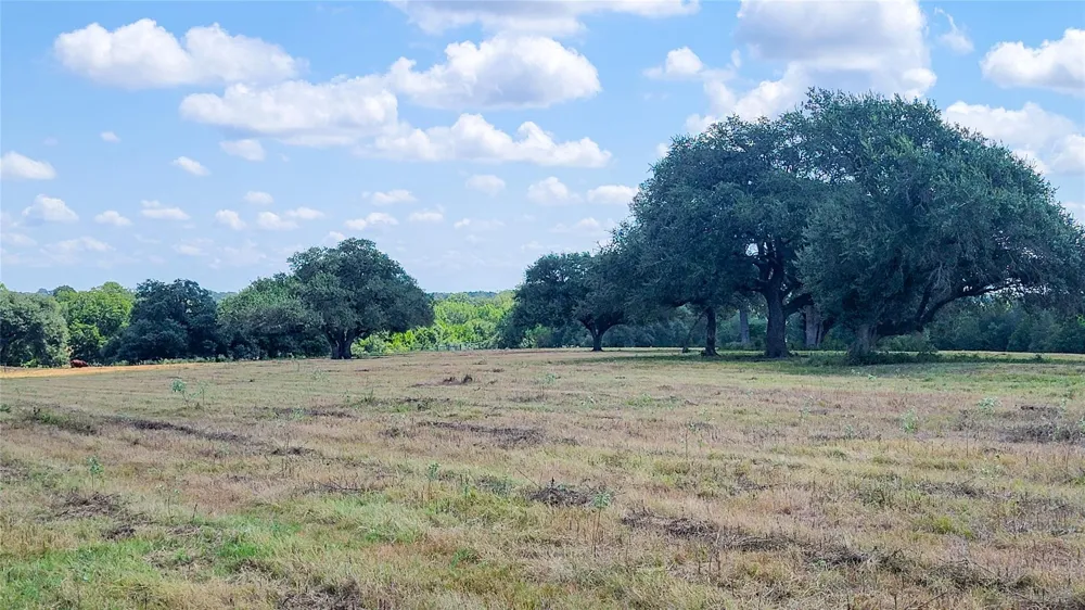 12144 Zetter Road Brenham, TX 77833