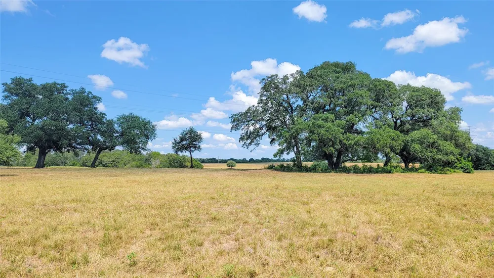 12144 Zetter Road Brenham, TX 77833