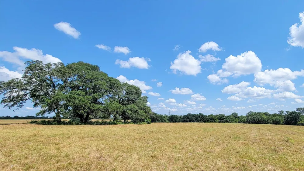 12144 Zetter Road Brenham, TX 77833