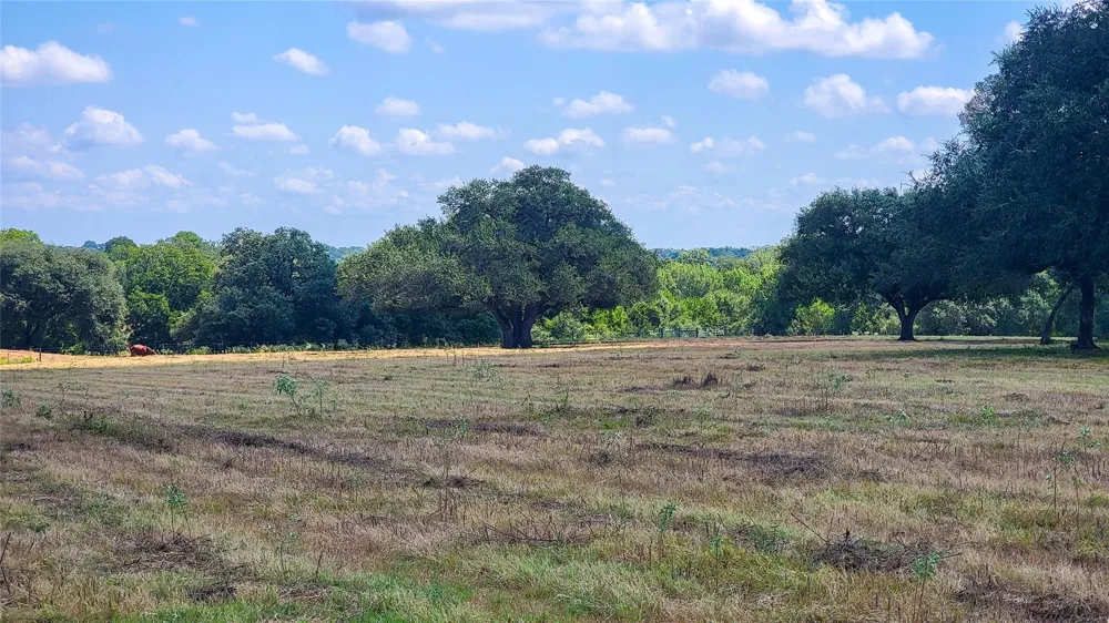 12144 Zetter Road Brenham, TX 77833