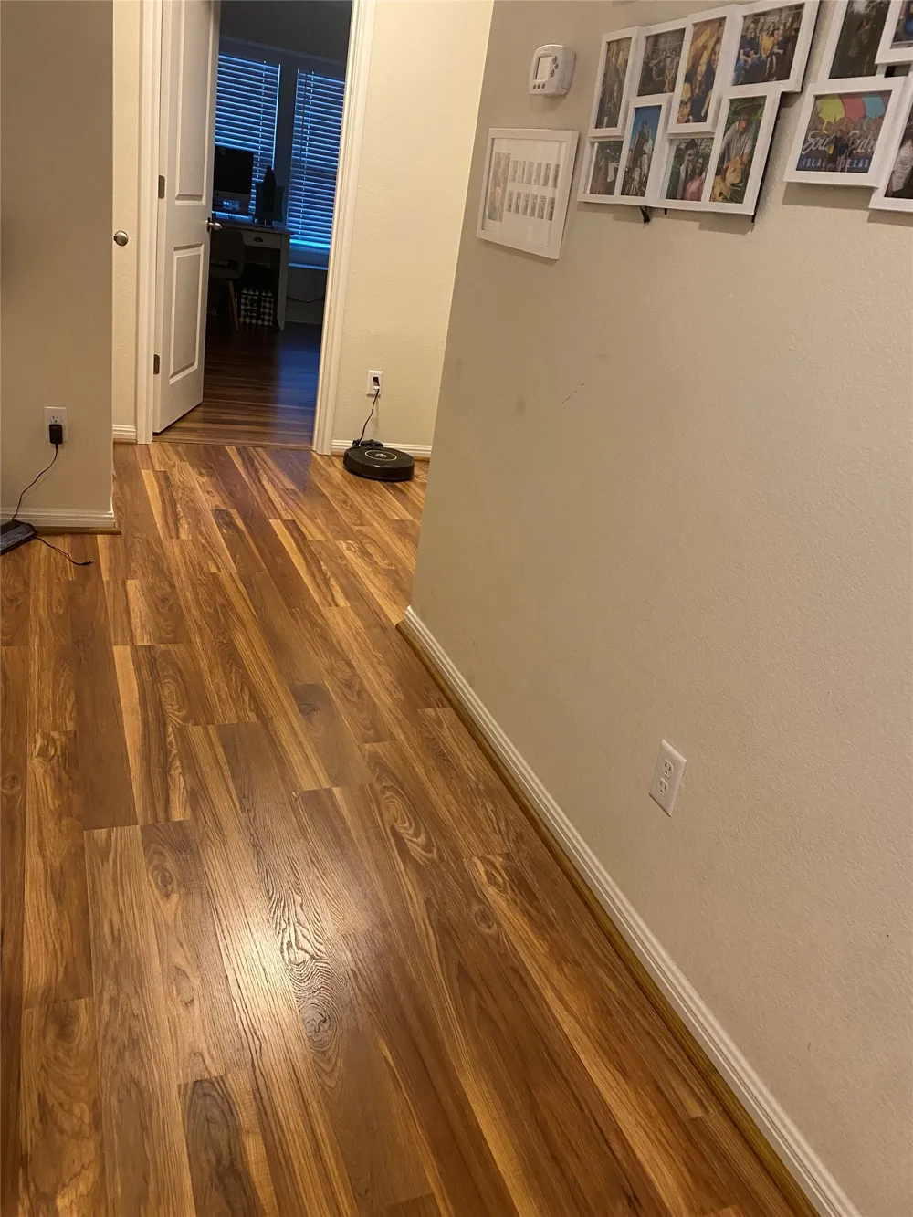 404 Spiny Lizard Lane San Marcos, TX 78666