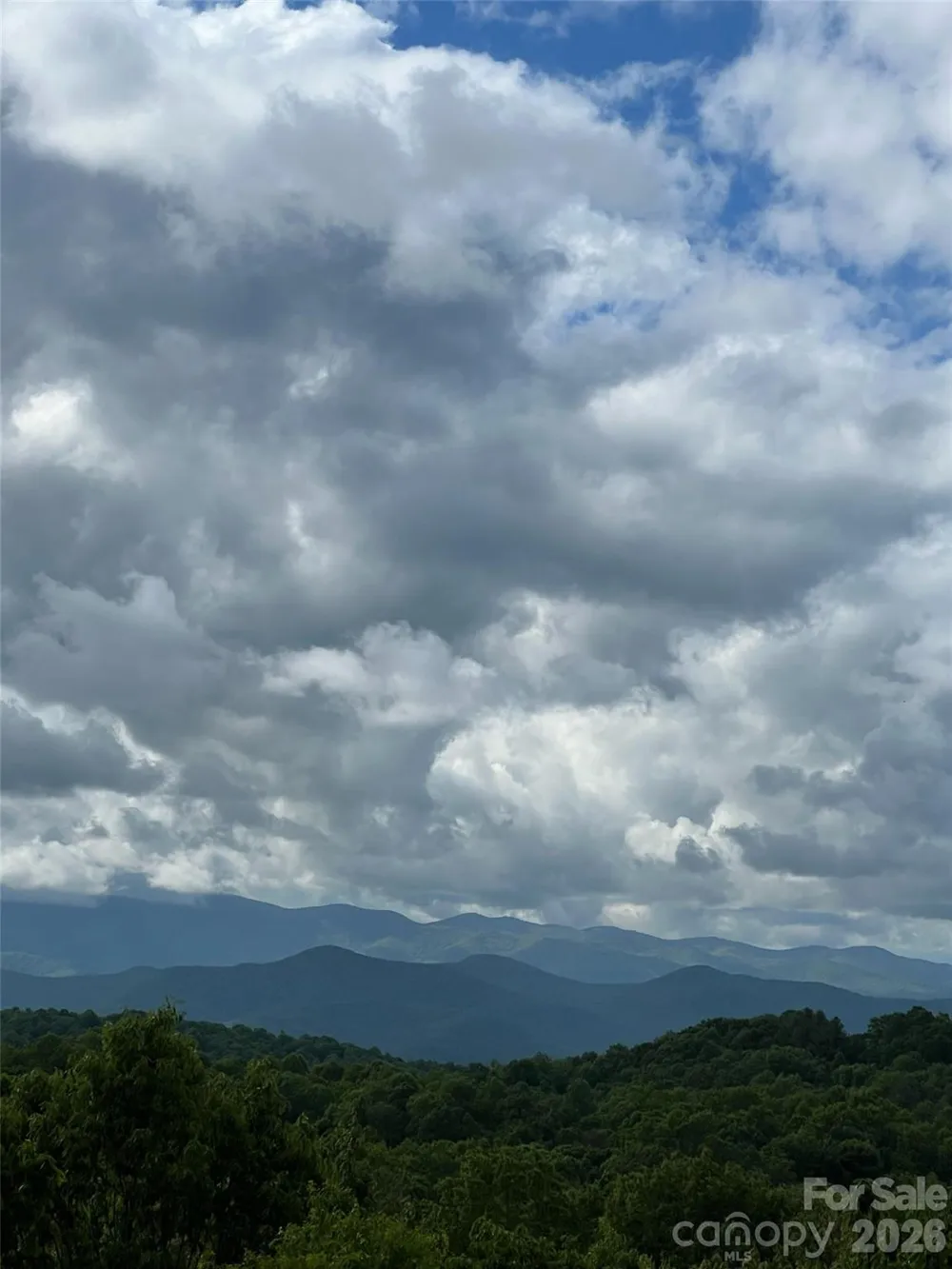 157 Kawani Lane Brevard, NC 28712