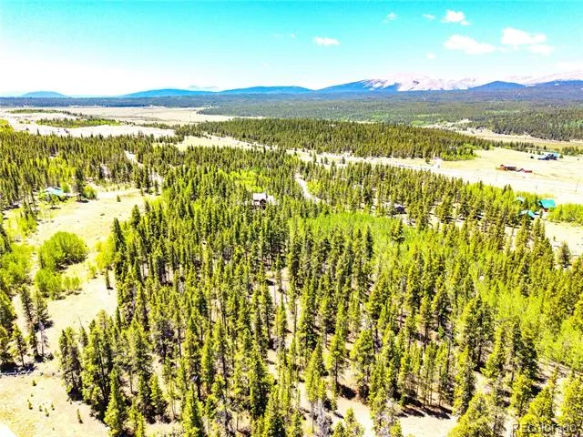 134 Prospect Drive Alma, CO 80420