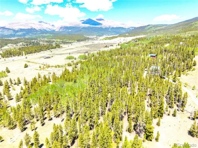 134 Prospect Drive Alma, CO 80420