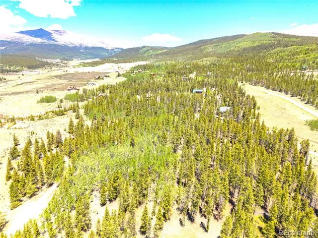 134 Prospect Drive Alma, CO 80420