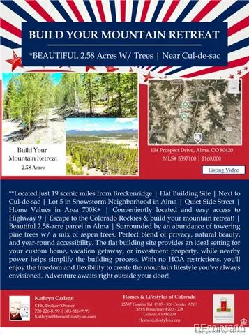 134 Prospect Drive Alma, CO 80420