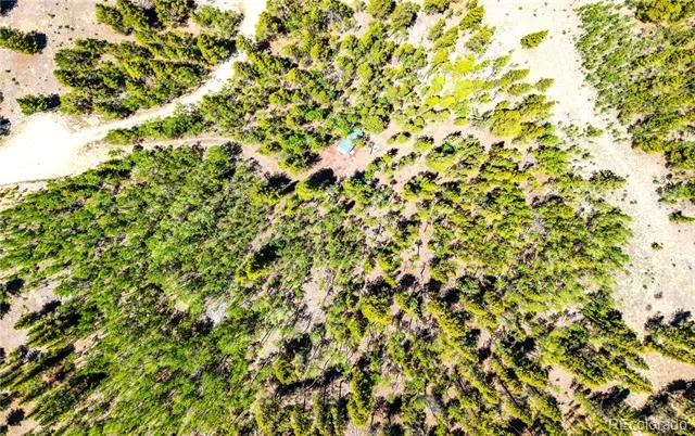 134 Prospect Drive Alma, CO 80420