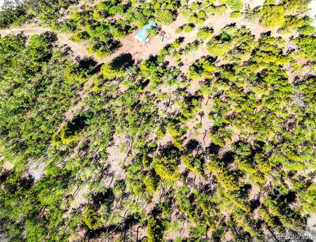 134 Prospect Drive Alma, CO 80420