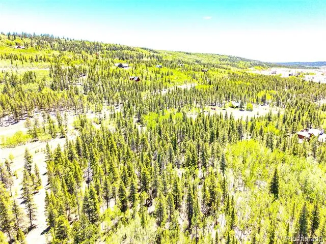 134 Prospect Drive Alma, CO 80420