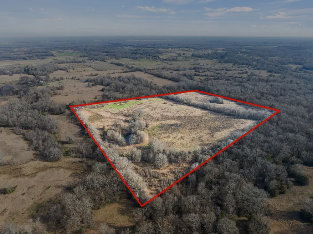 10 County Road 3357 Omaha, TX 75571