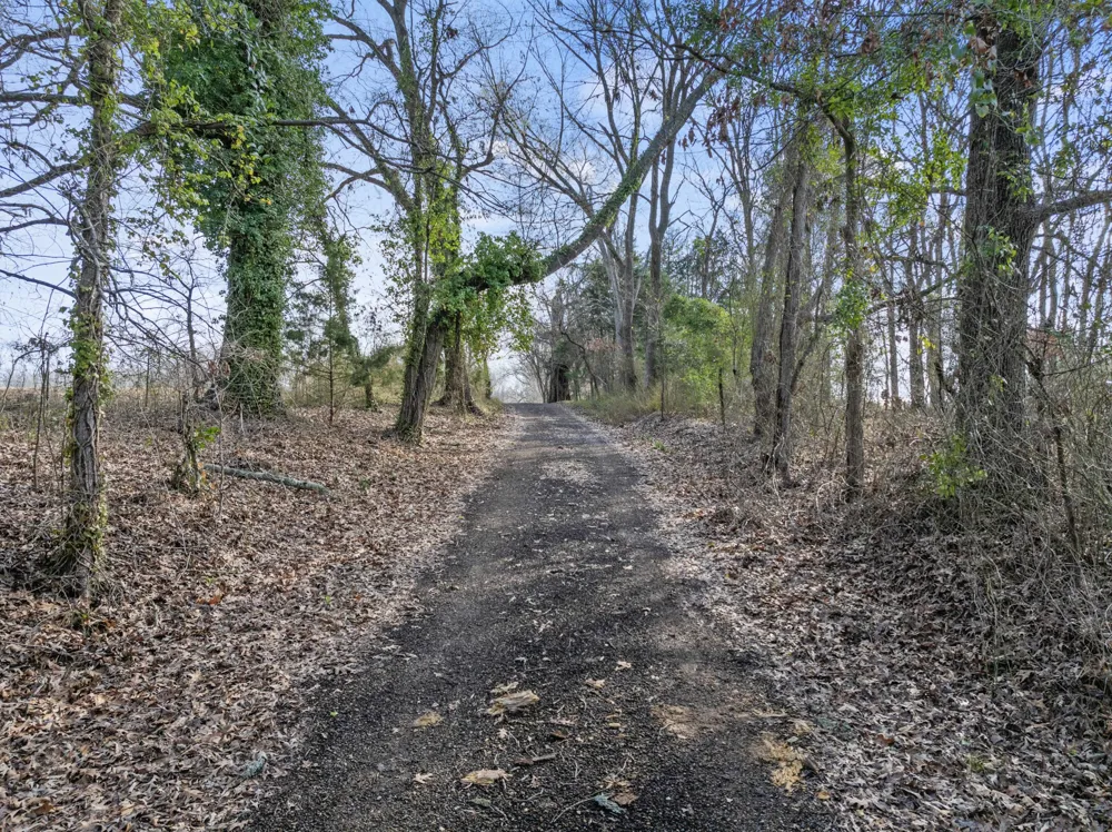 10 County Road 3357 Omaha, TX 75571