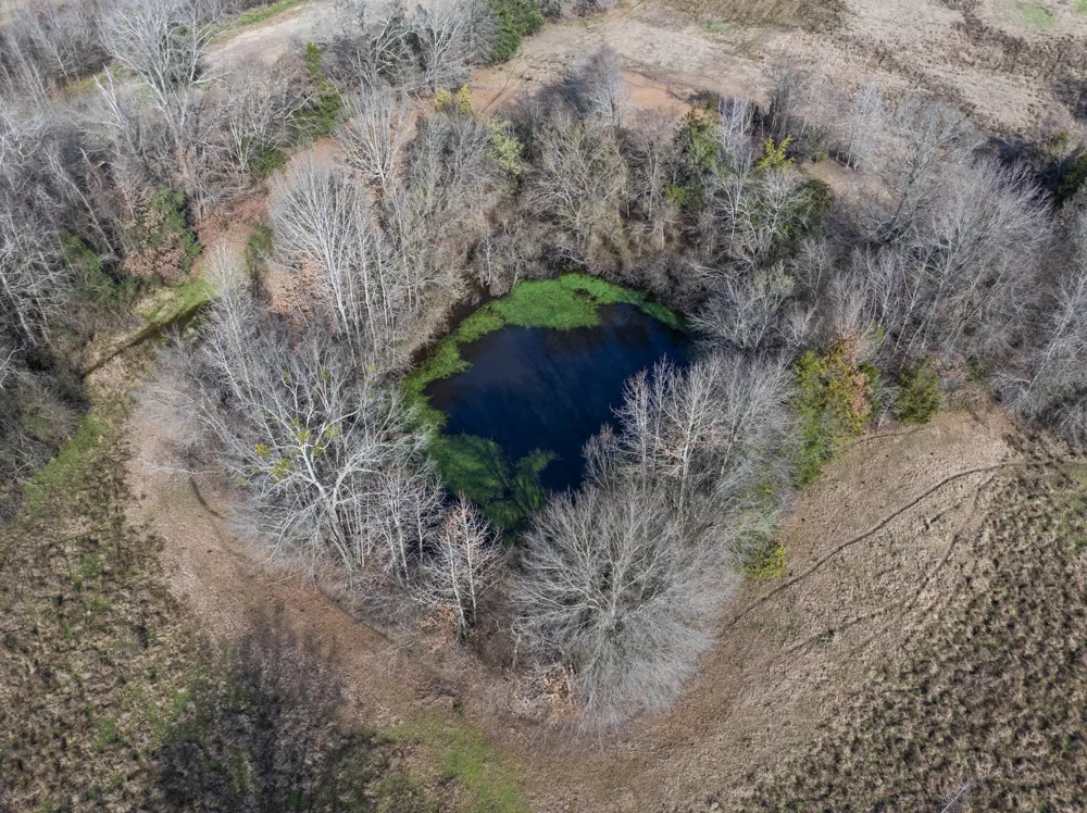 10 County Road 3357 Omaha, TX 75571